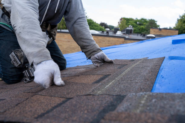 Best Emergency Roof Repair Services  in Wilmington, OH