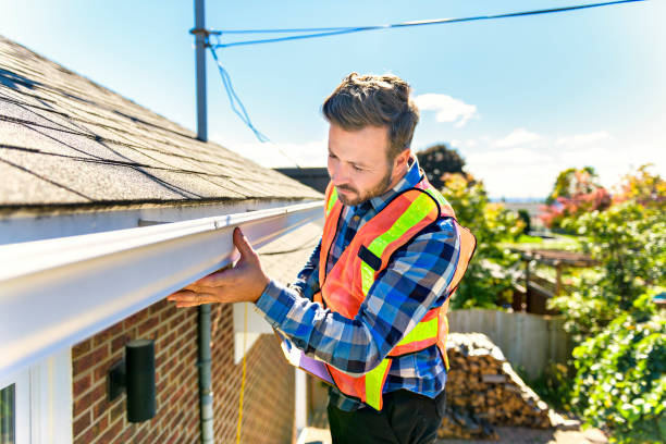 Best Roof Moss and Algae Removal  in Wilmington, OH